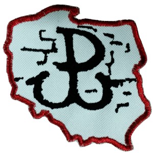 Naszywka Polska Walcząca metalizowana wzór 2