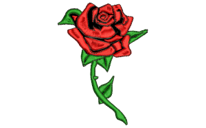 Termo łatka, aplikacja róża 01